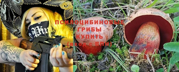 прущий лед Богородск