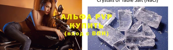 СК Богородицк