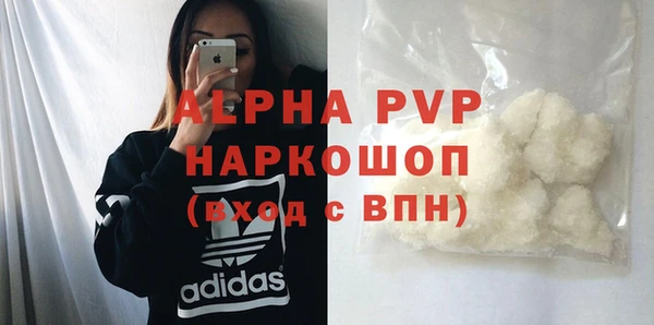 СК Богородицк
